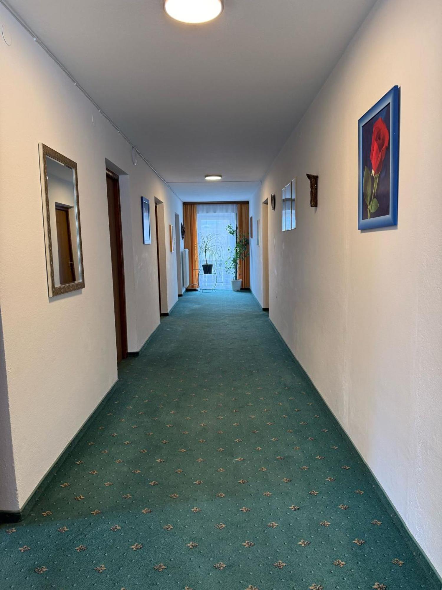 Pension Plattenhof Telfs Exteriér fotografie